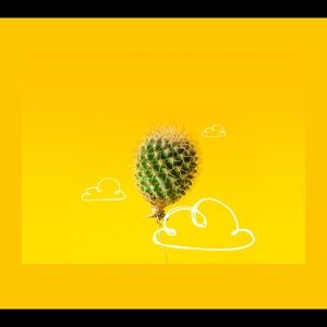 Meet your Posher, Mallory